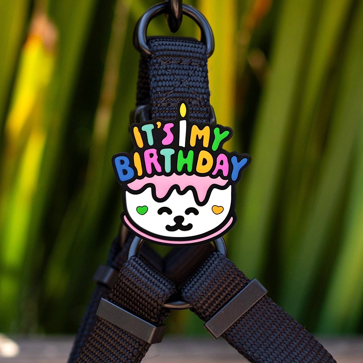 Birthday Dog Badge