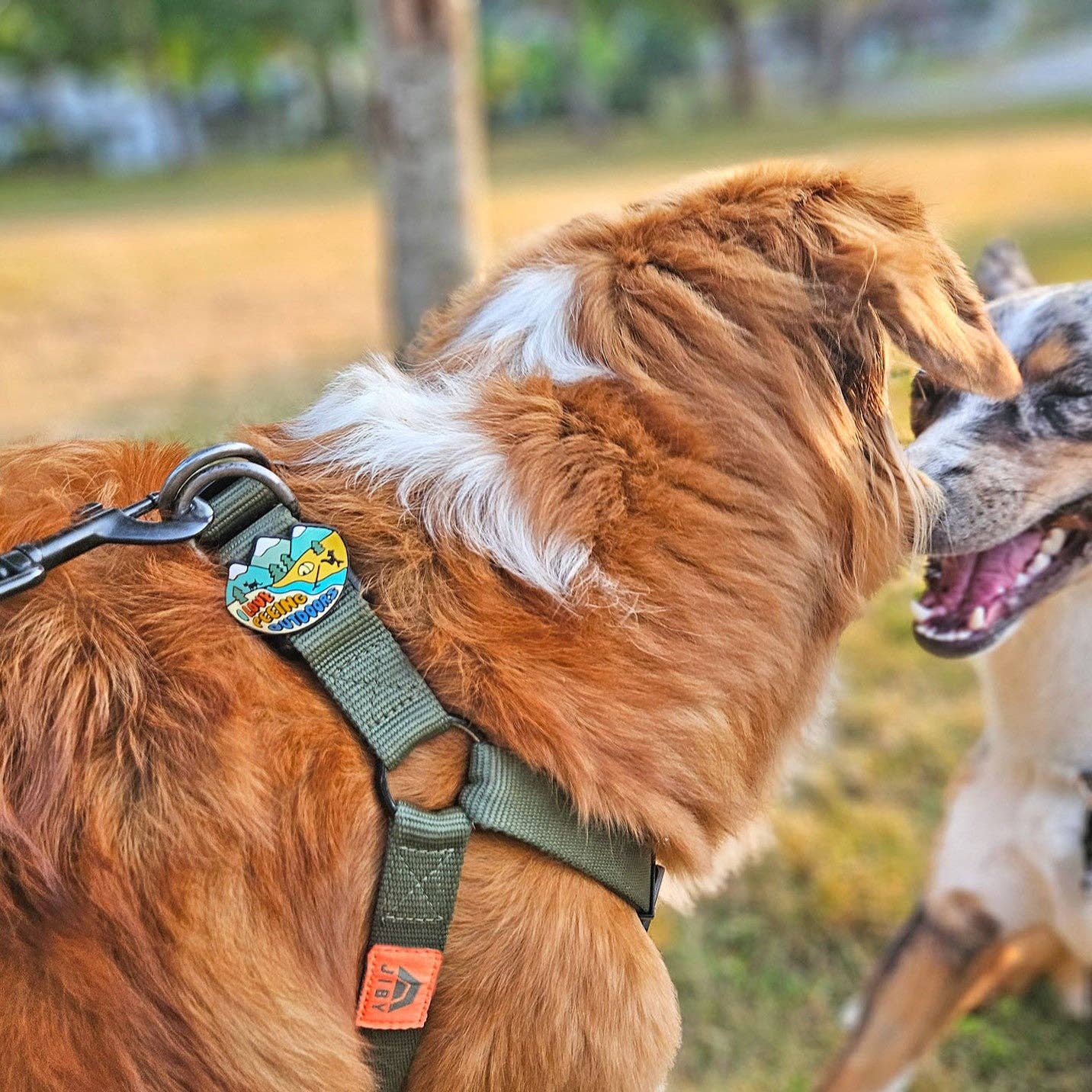 Outdoors Dog Badge