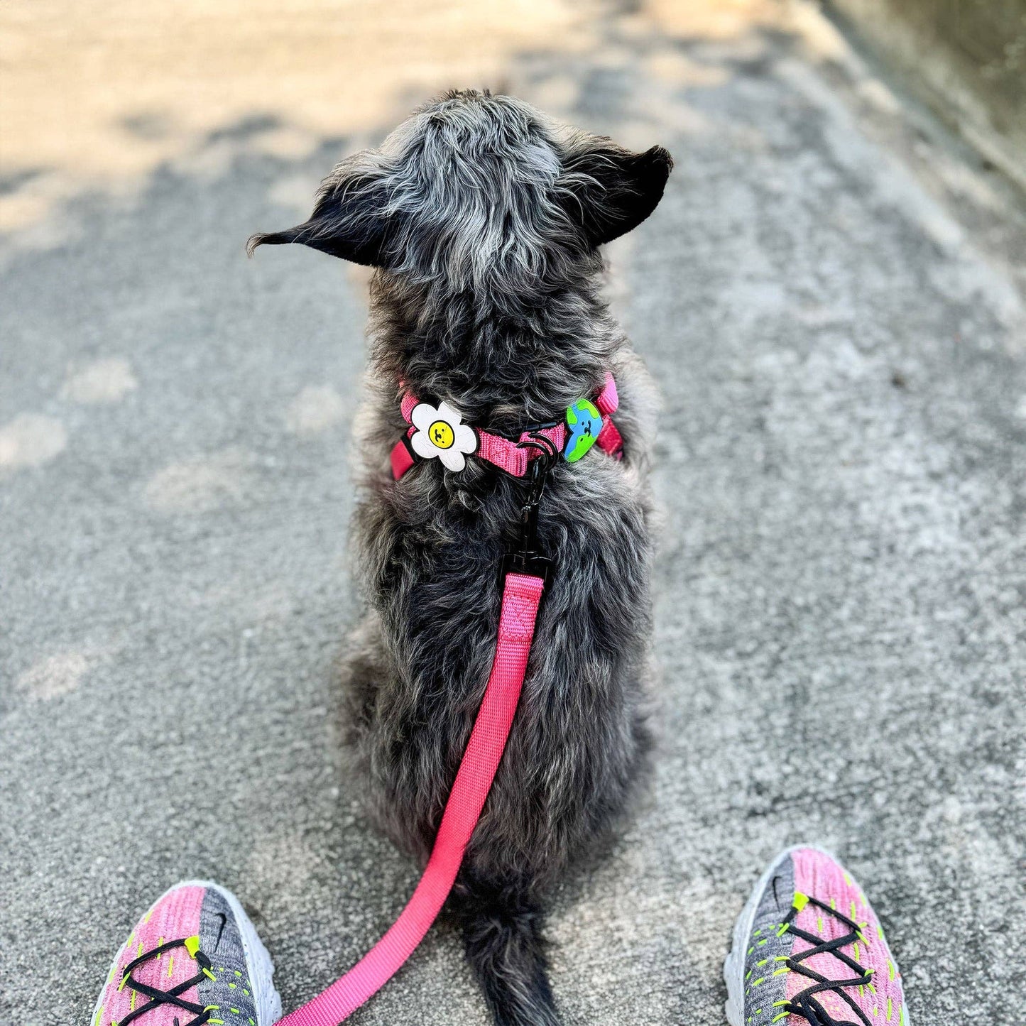 Daisy Dog Badge: Pink