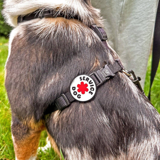 Service Dog Badge