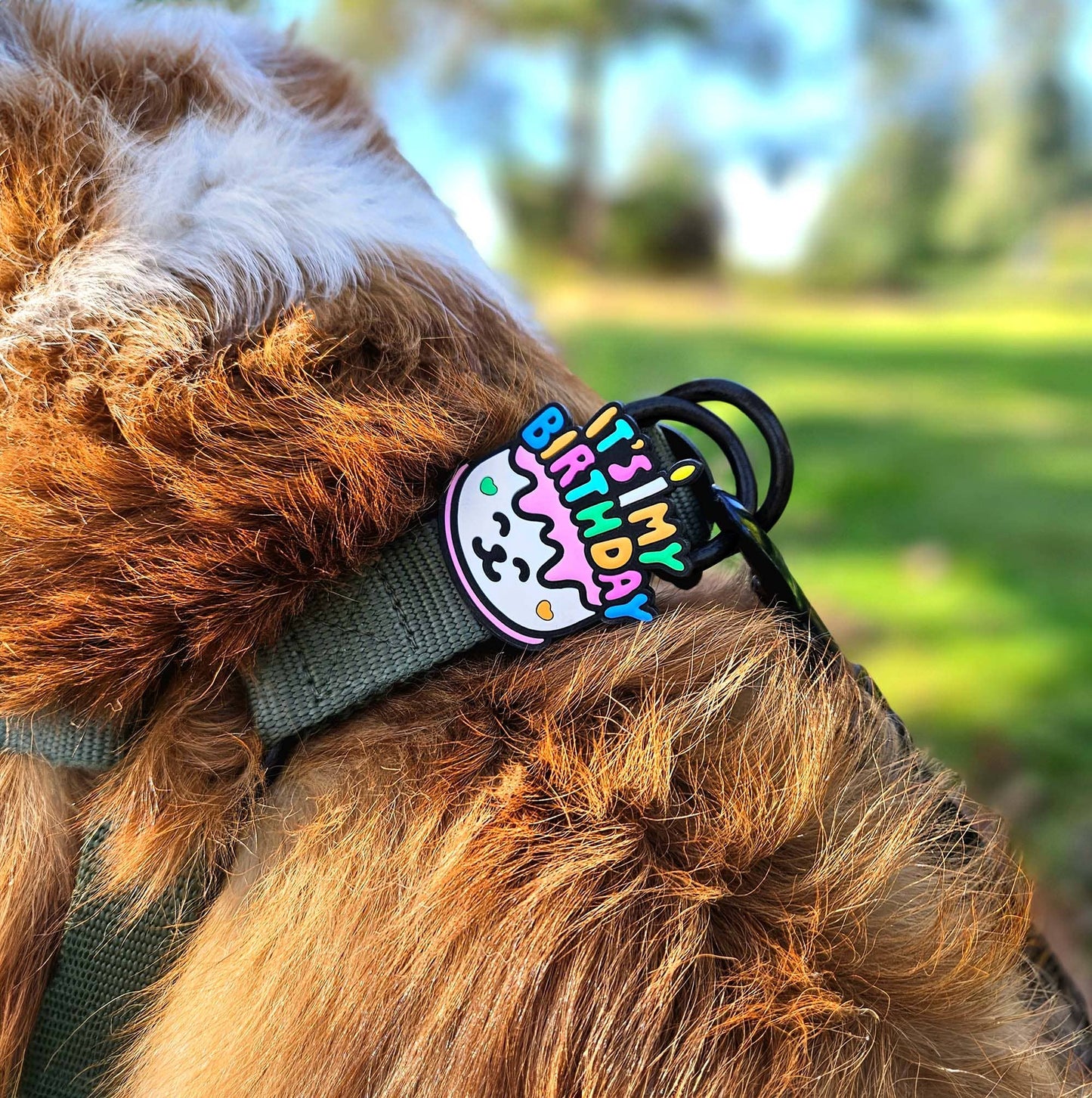 Birthday Dog Badge