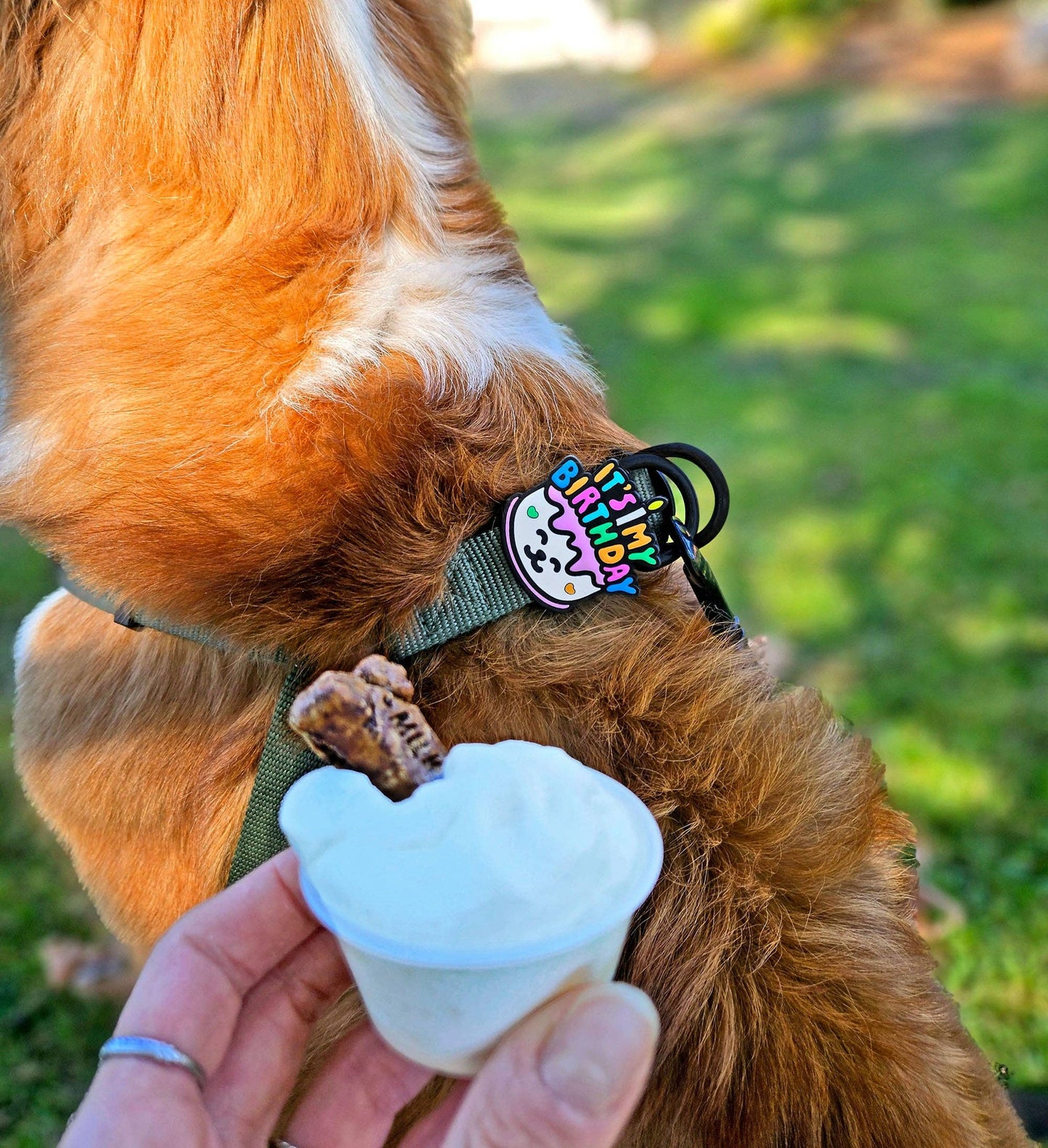 Birthday Dog Badge