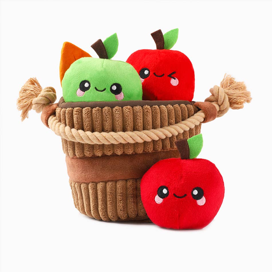 HugSmart Pet - Autumn Tailz  | Apple Basket